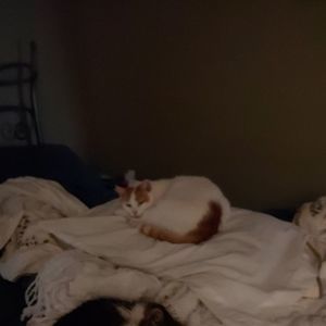 Meet your Posher, Sondra